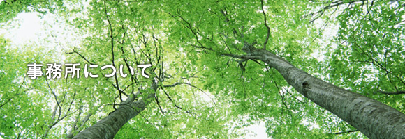 事務所について