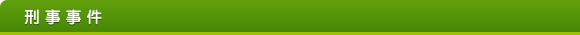 刑事事件